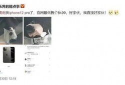 吃瓜翻车合集免费观看,免费观看，笑料百出，揭秘娱乐圈幕后真相