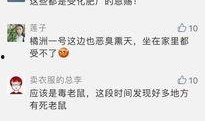 今日关注爆料会来么,揭秘神秘事件背后的真相