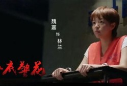 魏嘉爆料视频在线观看,揭秘幕后真相，带你走进事件核心