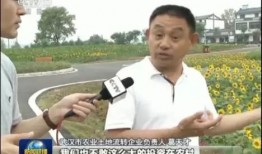 娱乐圈爆料今日新闻联播,今日新闻联播聚焦娱乐圈热点事件