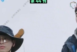 娱乐日常吃瓜视频,揭秘明星幕后故事