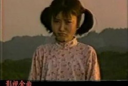 电视剧山野在线观看,探寻自然之美，共赴心灵之旅