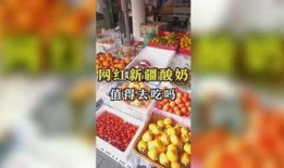 吃瓜娱乐机,带你领略趣味互动新体验