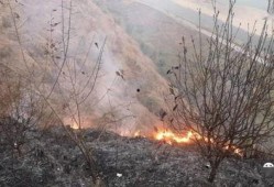 秀山曝光爆料最新消息,揭秘事件真相，真相大白！