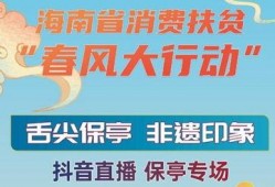 直播海南新闻爆料,神秘项目引发热议，揭秘背后真相