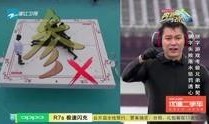 奔跑吧精彩爆料视频网址,揭秘节目幕后花絮与精彩瞬间！