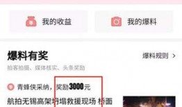 头条视频爆料怎么赚钱,轻松上手，月入过万不是梦