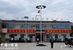 甘谷新闻爆料网最新