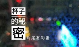 乐山酒店爆料视频曝光,揭秘酒店内幕