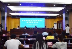 横县新闻爆料电话,揭秘横县最新动态，一键掌握民生资讯