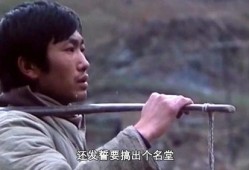 电影野山在线观看,探寻自然与人性的原始共鸣