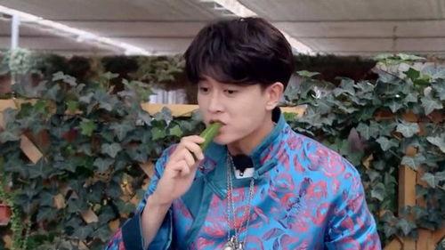 任嘉伦吃瓜娱乐